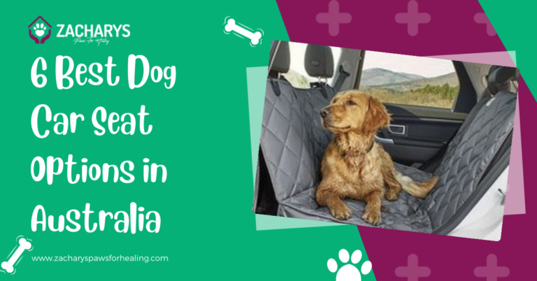 6 Best Dog Car Seat Options in Australia {Our Review}