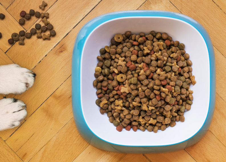 Is the Petzyo Dog Food Worth The Hype