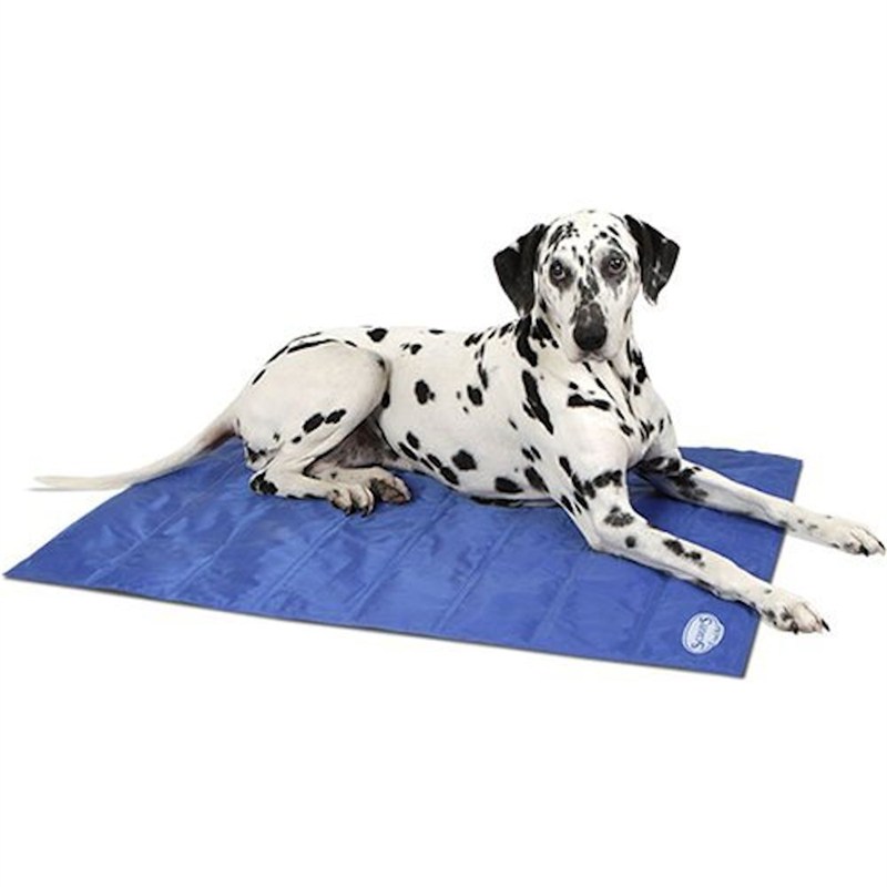 image of my breed with the Scruffs Pet Cooling Mat 