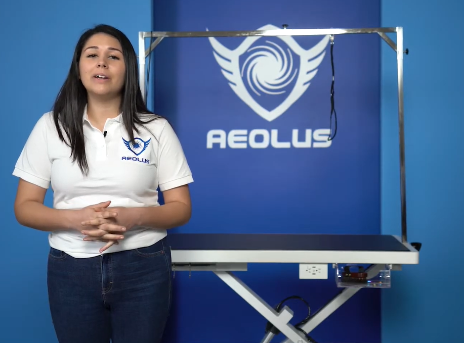 Aeolus Low- Low Pro Electric Lifting Table With Air Switch Customer Review