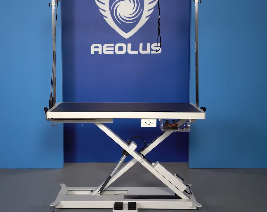 Aeolus Low- Low Pro Electric Lifting Table With Air Switch Review