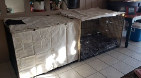 Dog Crate Covered by Explore Land Dog Crate Cover