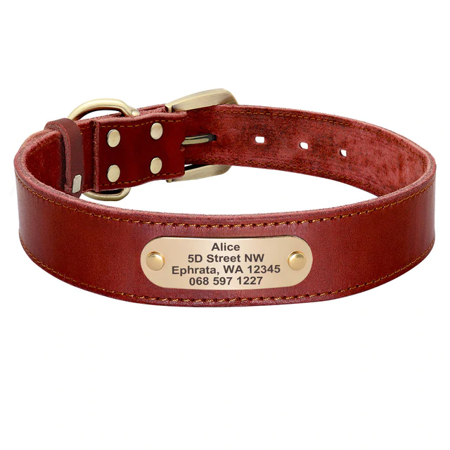 Dog Nation Sirius Genuine Personalized Leather Dog Collar