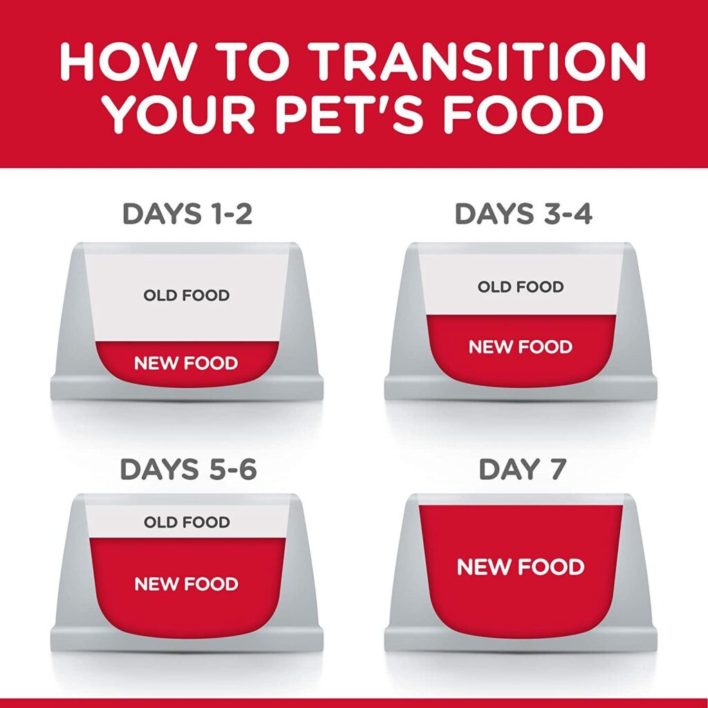 How to Transition Your Pet Into Hill’s Science Diet Pet Food