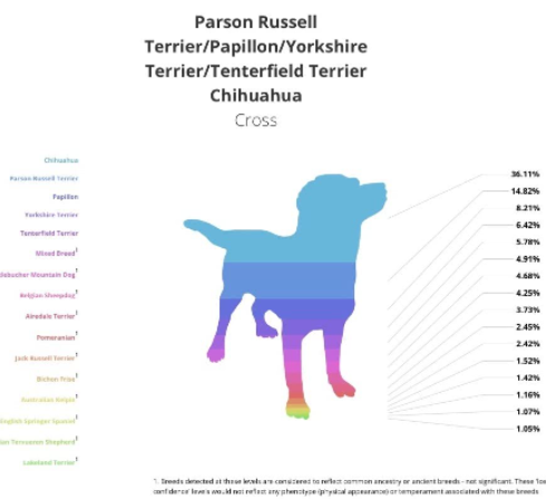Report of a Dog From Orivet Dog Dna Test
