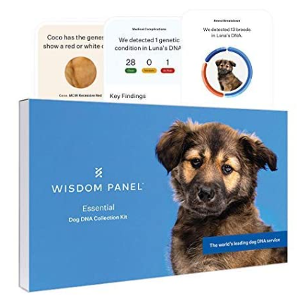Wisdom Panel Essential, New And Improved Dog DNA Test