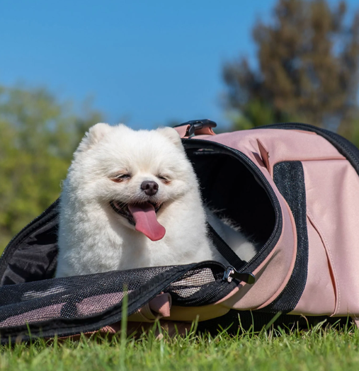 Ibiyaya Ultralight-Pro Backpack Pet Carrier Review