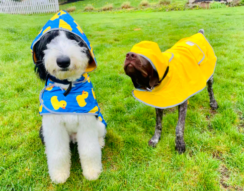 HDE Reversible Dog Raincoat Hooded Slicker Poncho Customer Review