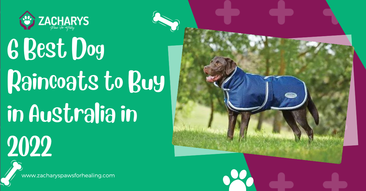 dog raincoats australia