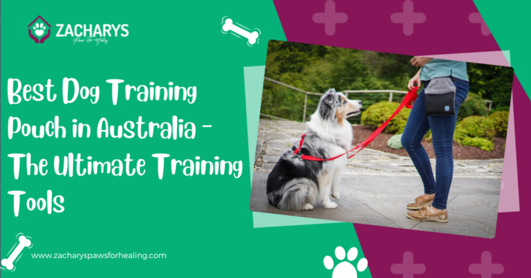 5 Best Dog Training Pouch in Australia – The Ultimate Training Tools
