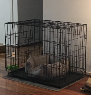 i.Pet 48” Dog Crate Pet Cage Customer Review