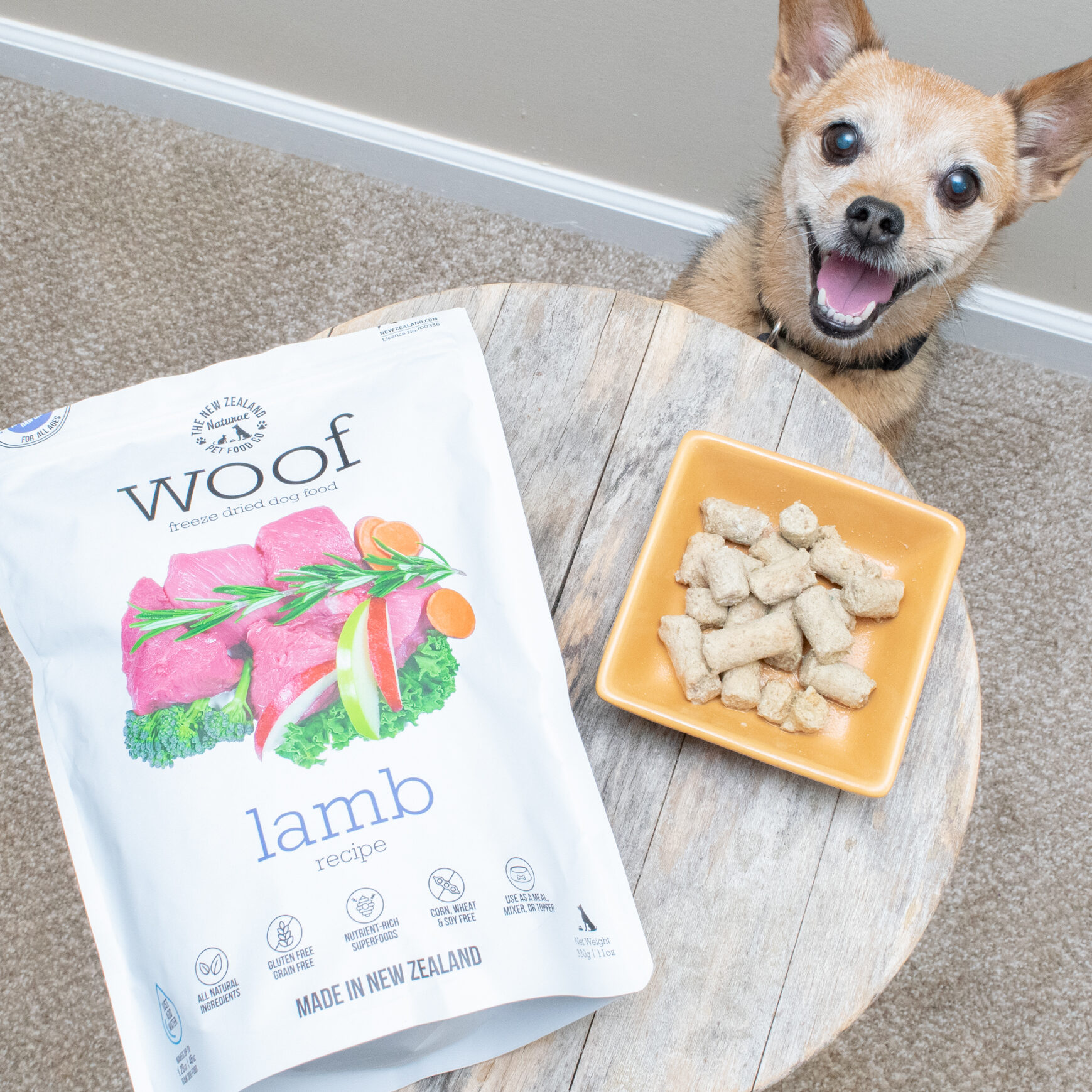 My dog with his sack of Woof Freeze-Dried Dog Food – Lamb