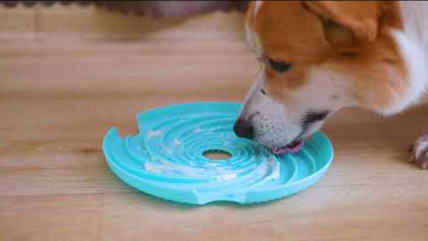 My neighbour's dog with Spin Interactive 2-in-1 Slow Feeder Lick Pad And Frisbee For Dogs