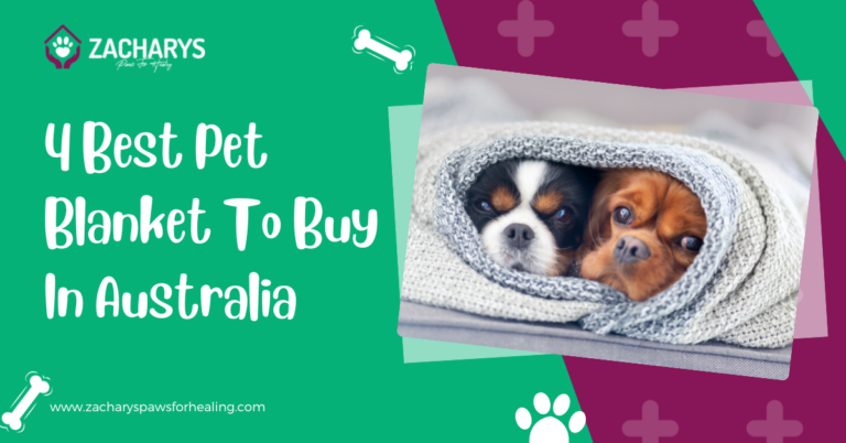 4 Best Pet Blanket To Buy In Australia