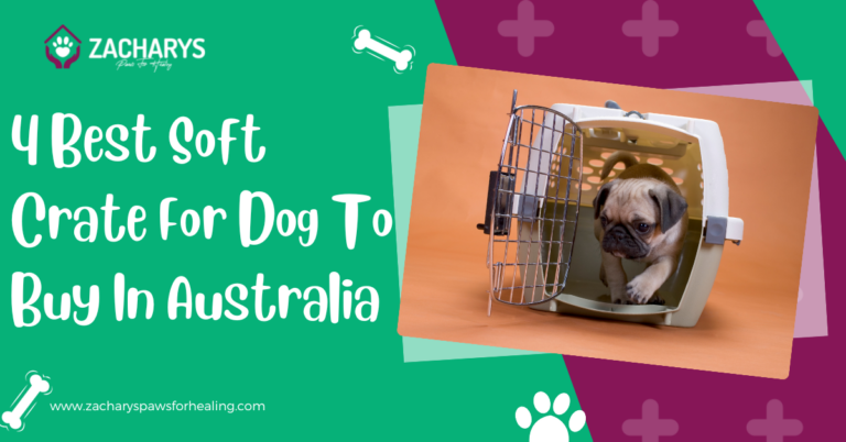 4 Best Soft Crate For Dog To Buy in Australia